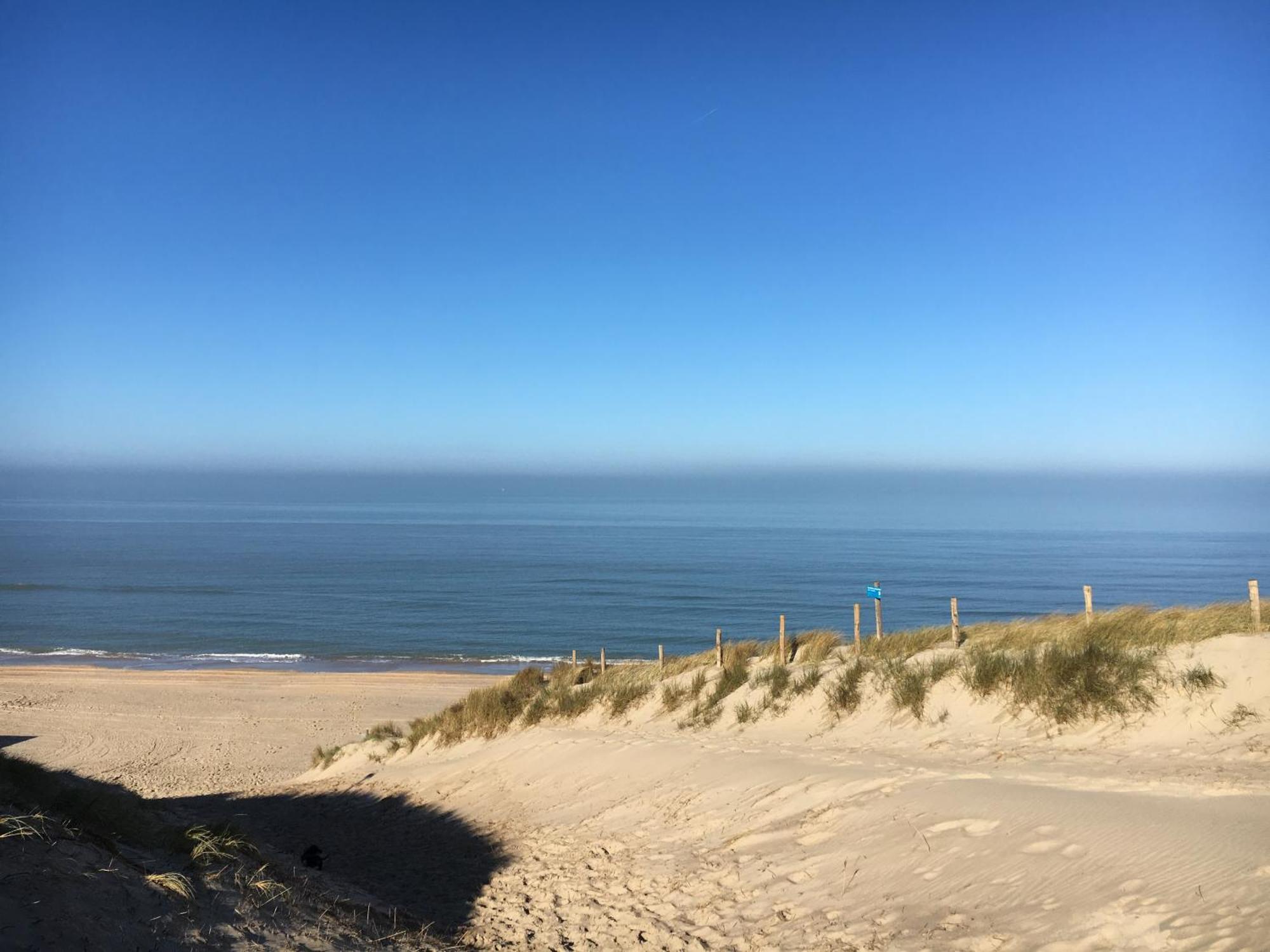 Eco Lodge Duin- Unieke Locatie -Strand, Duin En Nabij Cultuursteden Castricum Exterior photo