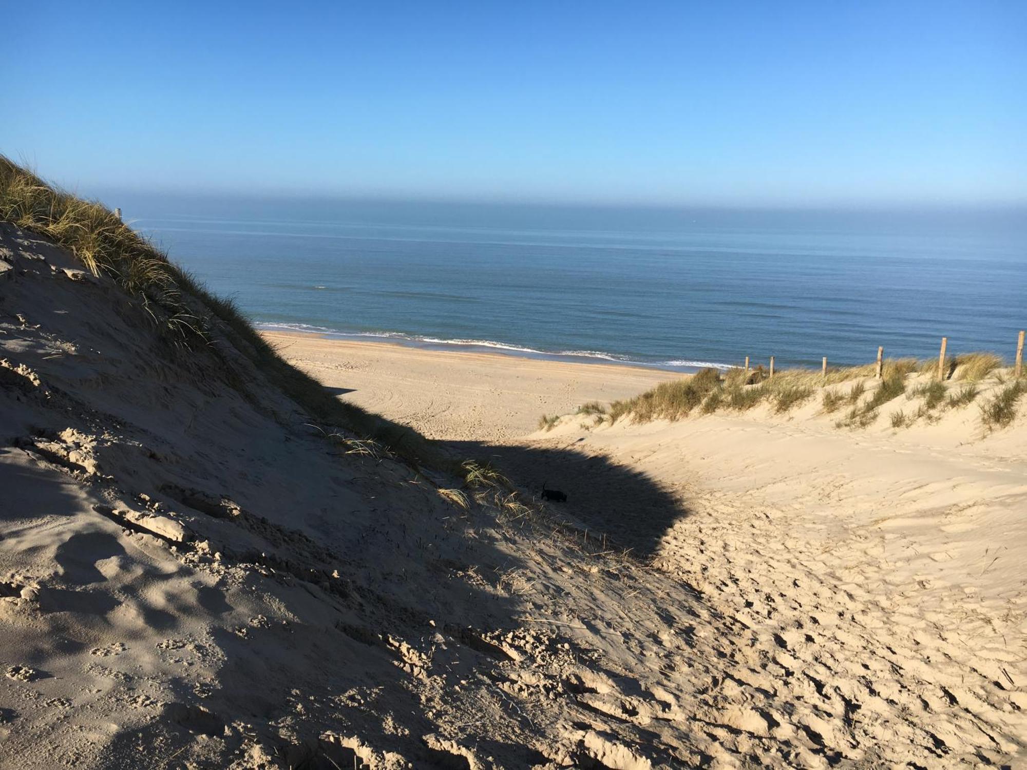 Eco Lodge Duin- Unieke Locatie -Strand, Duin En Nabij Cultuursteden Castricum Exterior photo